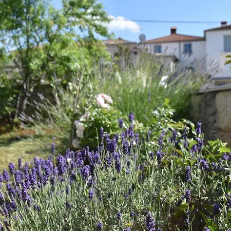 Lavanda 2 Пореч