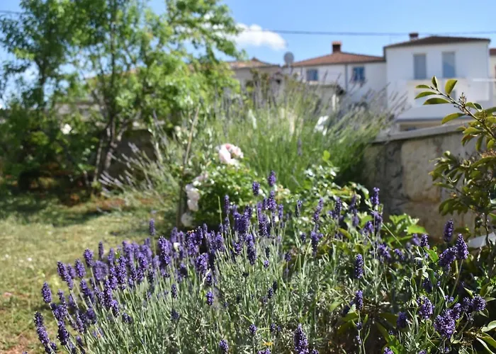 Lavanda 2 Πόρετς